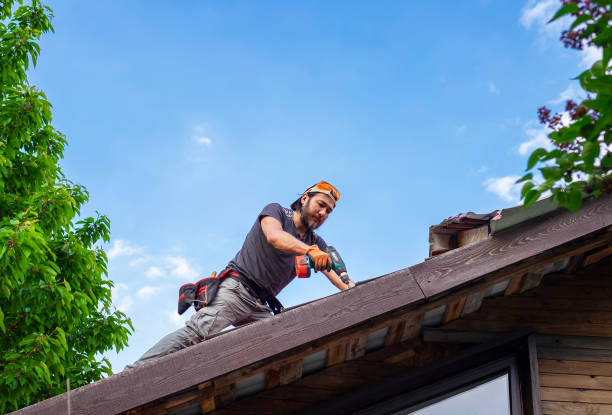 Best Gutter Installation and Repair  in Hampton, VA