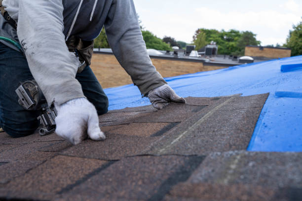 Fast & Reliable Emergency Roof Repairs in Hampton, VA