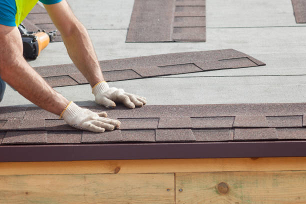 Best Roof Maintenance and Cleaning  in Hampton, VA