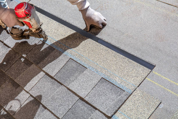 Best Roof Ventilation Installation  in Hampton, VA